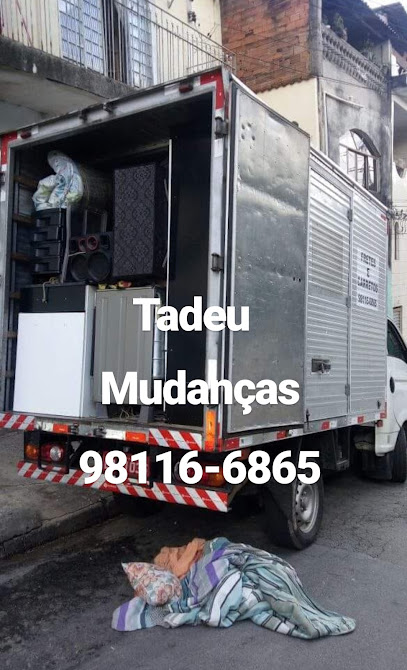 Tadeu mudanças e carretos